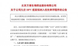 万泰二期最新爆料,亮点纷呈，未来可期